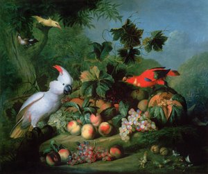 Fruit and Birds